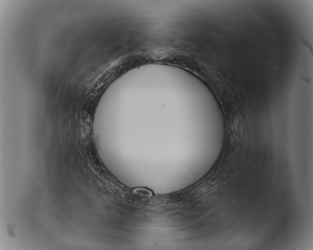 X0000103461349200809261831