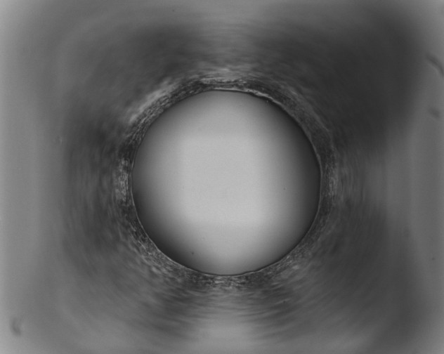 X0000103461350200809261831