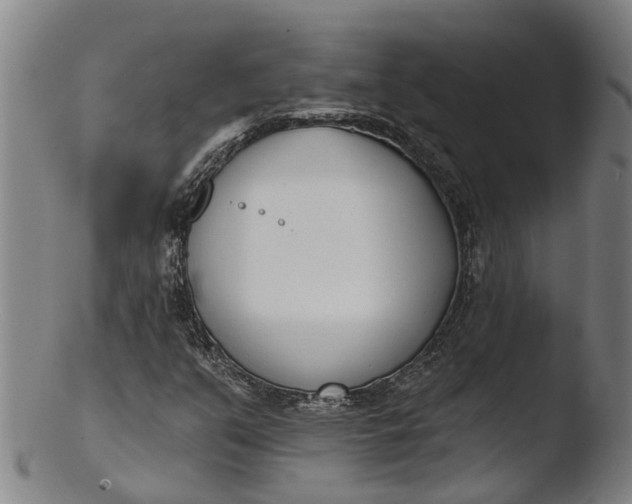 X0000103461351200809261831