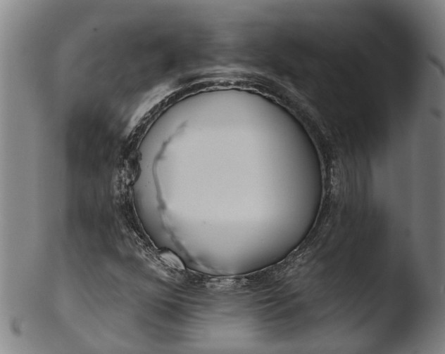 X0000103461352200809261831