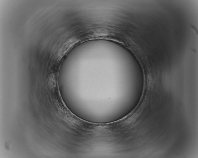 X0000103461353200809261831