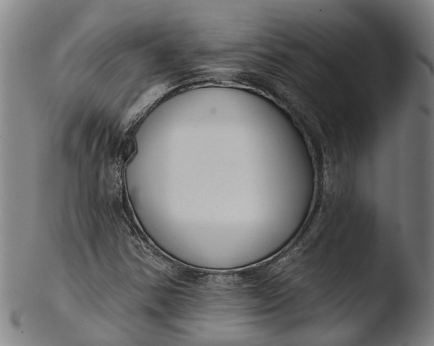 X0000103461354200809261831