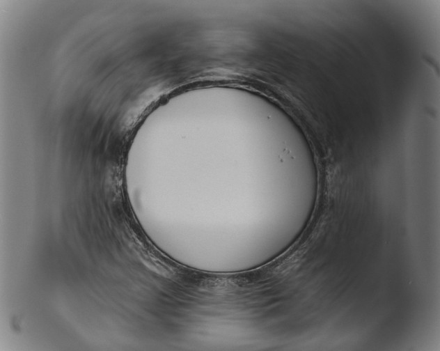 X0000103461355200809261831