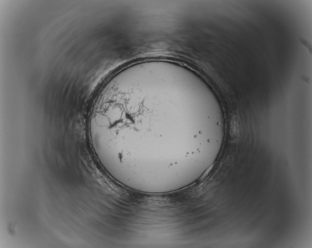 X0000103461356200809261831