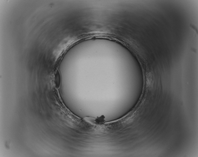 X0000103461357200809261831