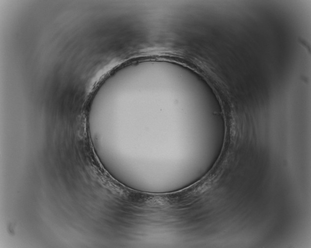 X0000103461358200809261831