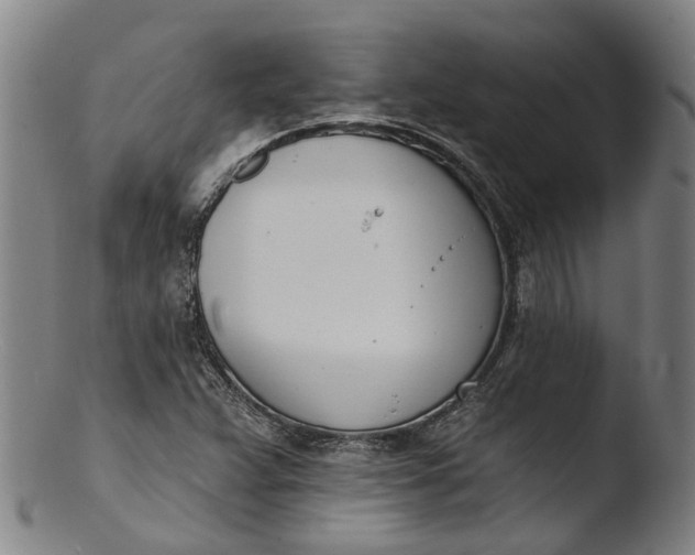 X0000103461359200809261831