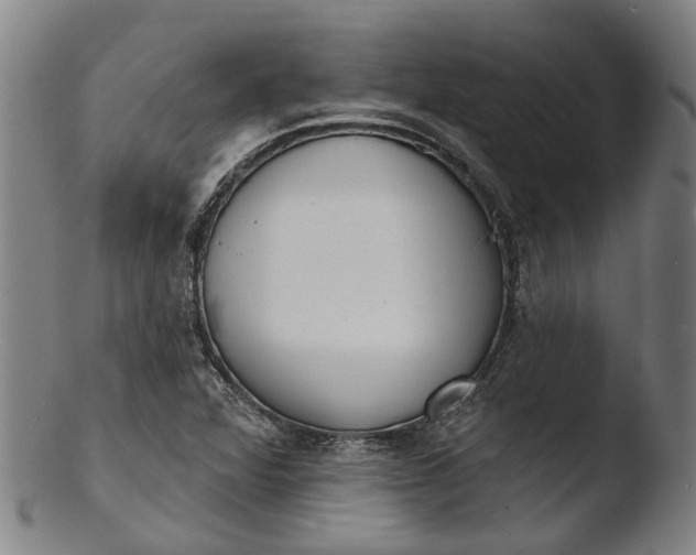 X0000103461360200809261831