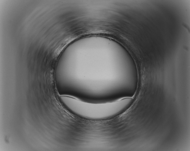 X0000103461361200809261831