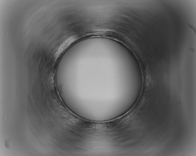 X0000103461362200809261831