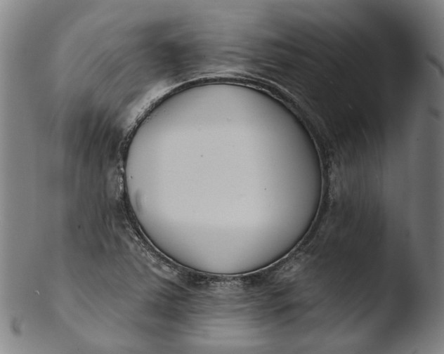 X0000103461363200809261831