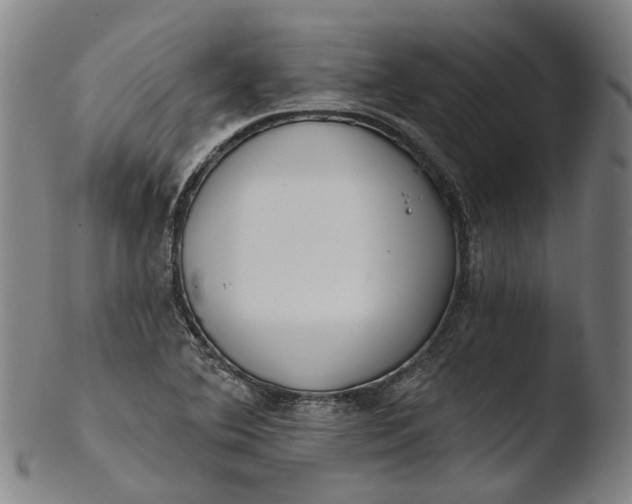 X0000103461364200809261831