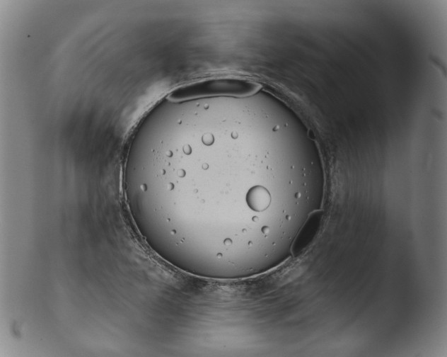 X0000103461365200809261831