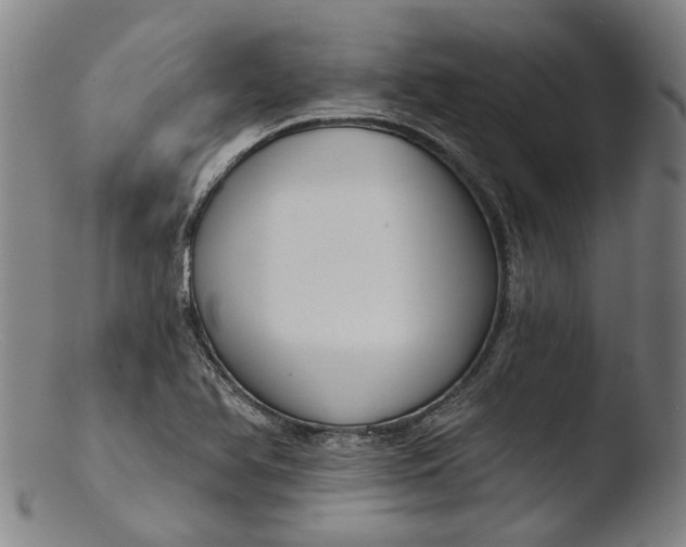 X0000103461366200809261830