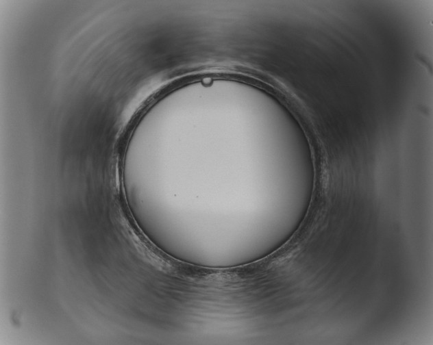 X0000103461368200809261830