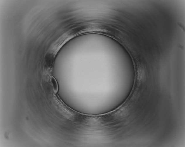 X0000103461369200809261830