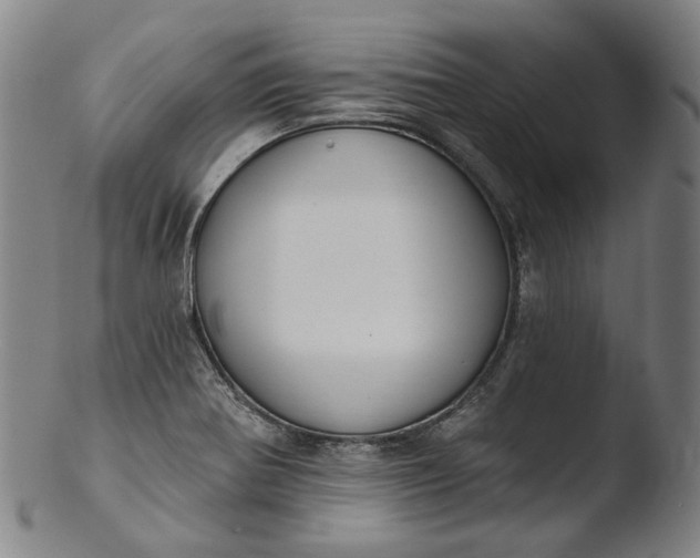 X0000103461370200809261830