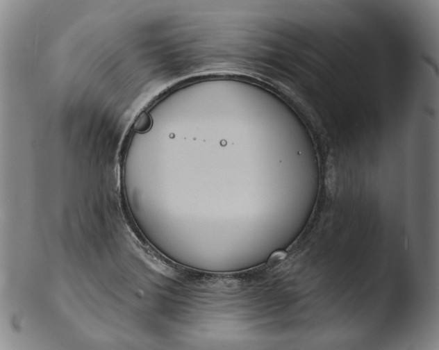 X0000103461372200809261830