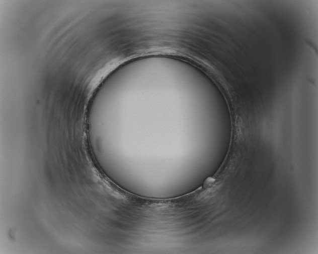 X0000103461373200809261830