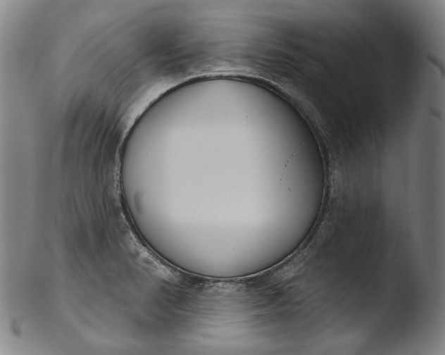 X0000103461374200809261830