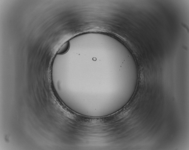 X0000103461375200809261830