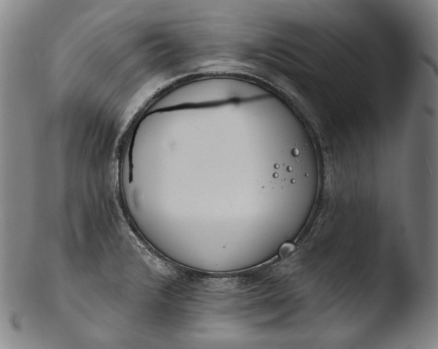 X0000103461376200809261830