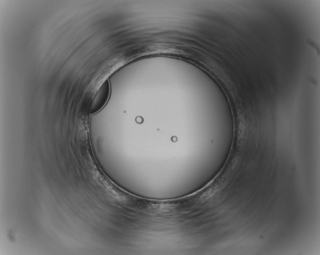 X0000103461377200809261830