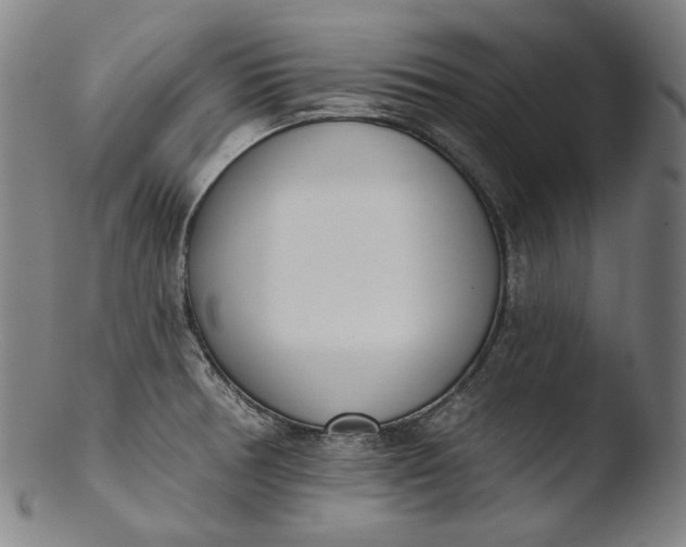 X0000103461378200809261830