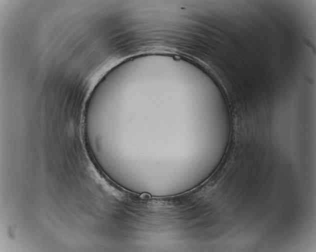 X0000103461379200809261830