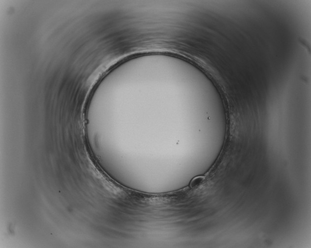 X0000103461380200809261830