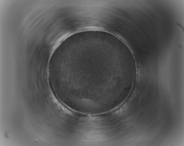 X0000103461381200809261830