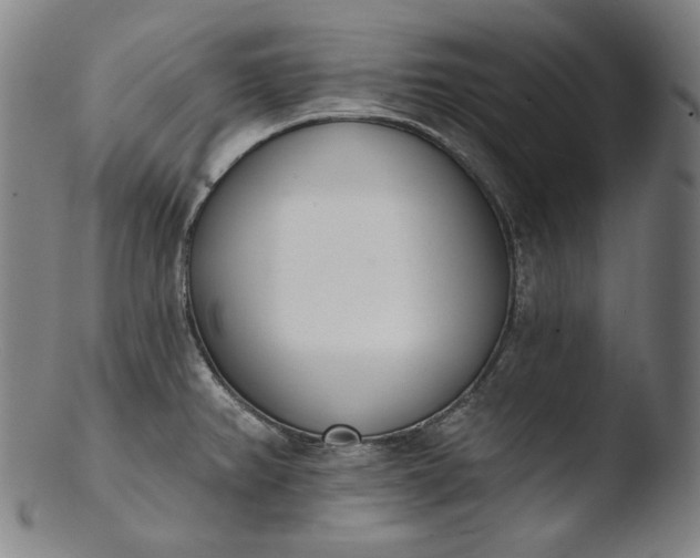 X0000103461382200809261830