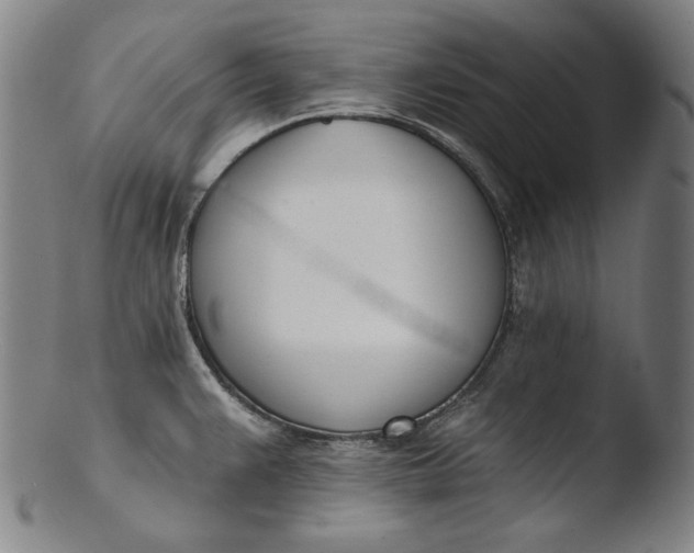 X0000103461383200809261830