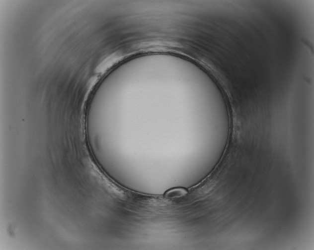 X0000103461384200809261830