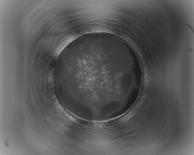 X0000103461385200809261830