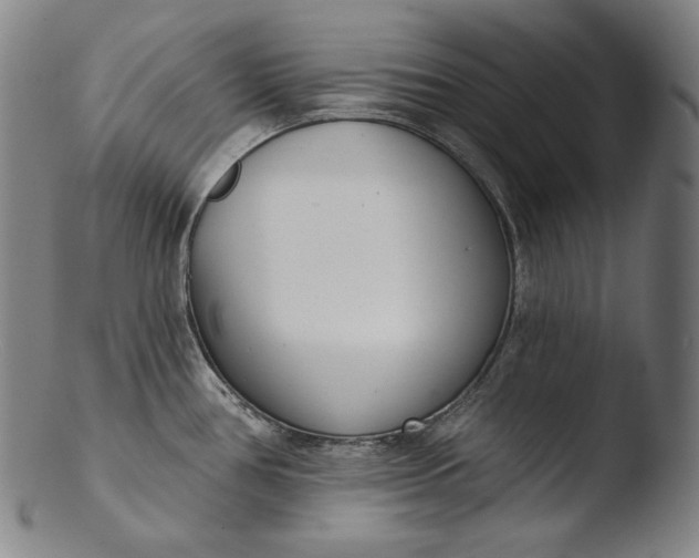 X0000103461386200809261830