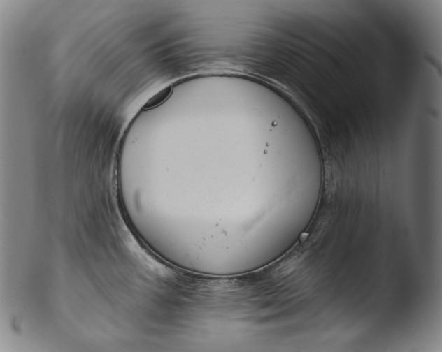 X0000103461387200809261830