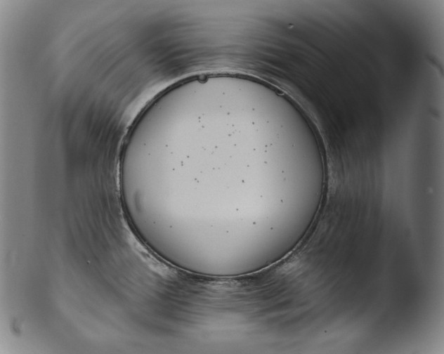 X0000103461388200809261830