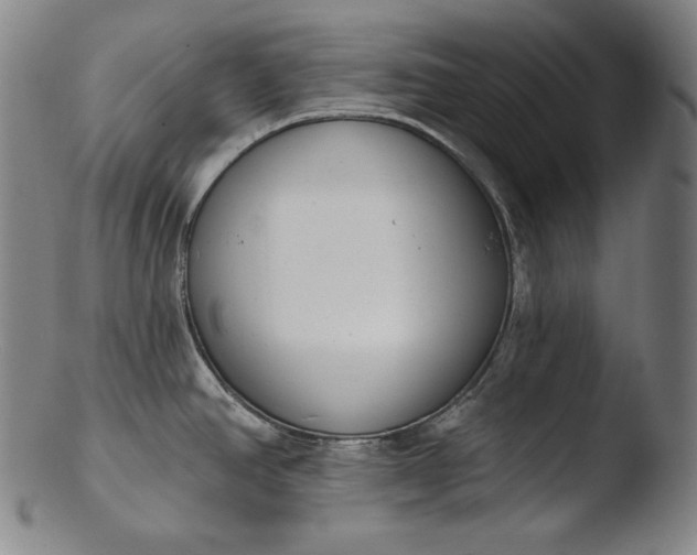 X0000103461390200809261830