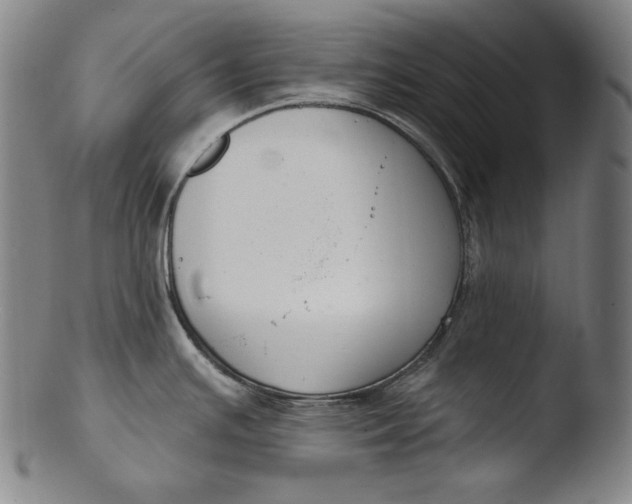 X0000103461391200809261830