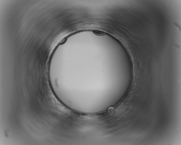 X0000103461392200809261830