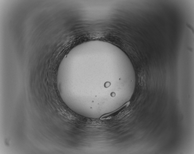 X0000103461393200809261829