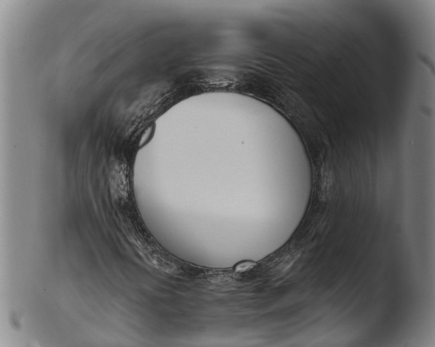 X0000103461394200809261829