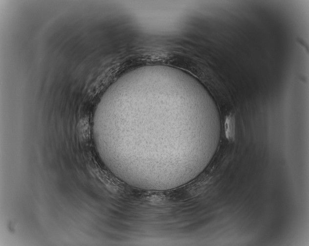 X0000103461395200809261829