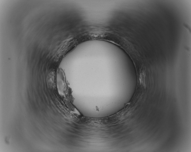 X0000103461396200809261829