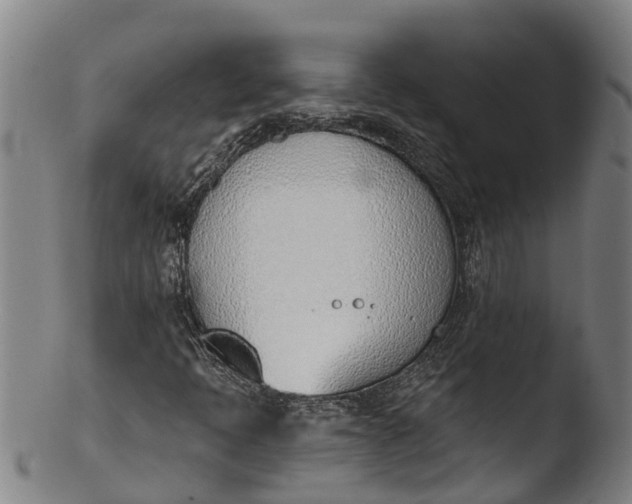 X0000103461397200809261829