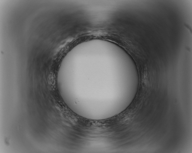 X0000103461398200809261829