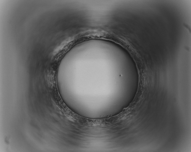 X0000103461399200809261829