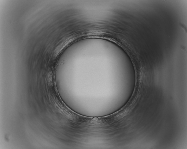 X0000103461401200809261829