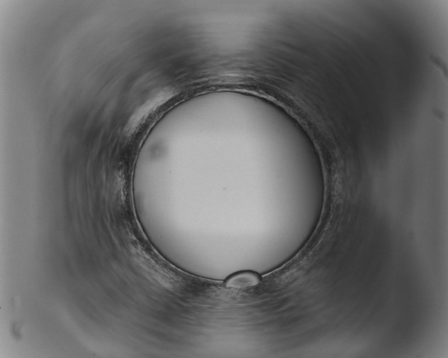 X0000103461402200809261829